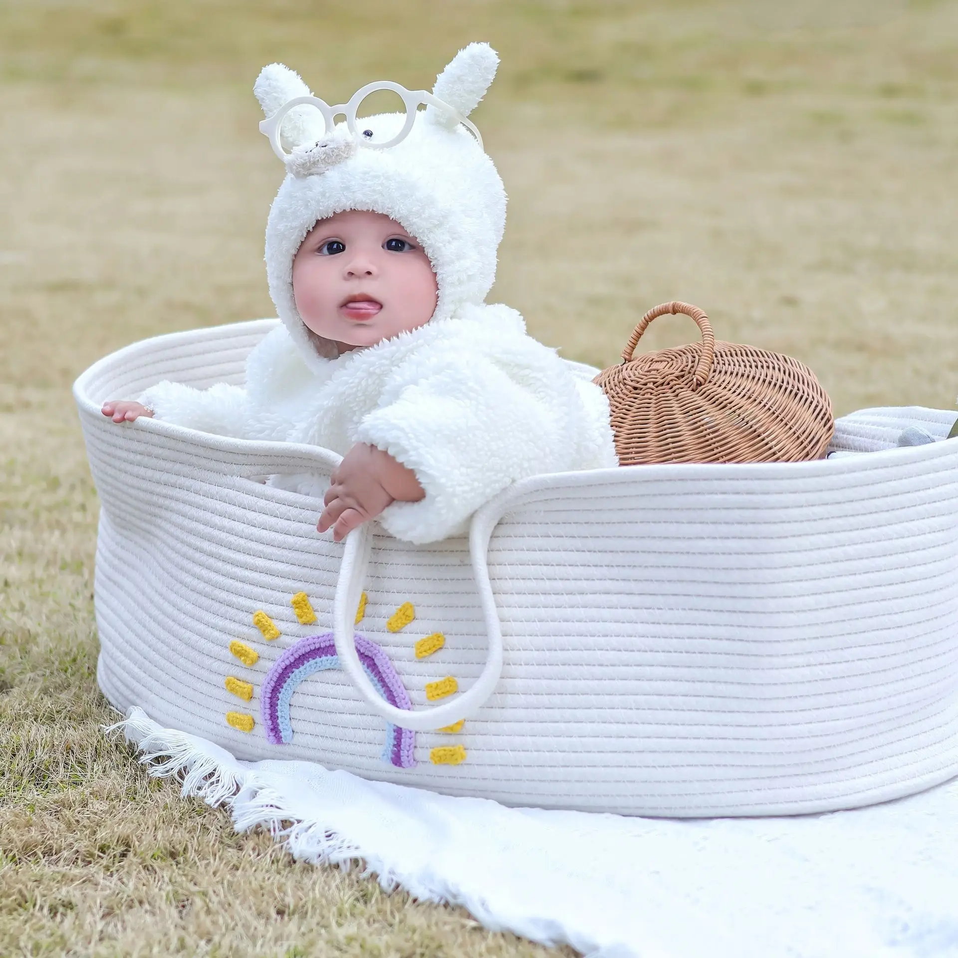 Portable Baby Carrying Basket  - Baby Nursery Crib のレビューと価格