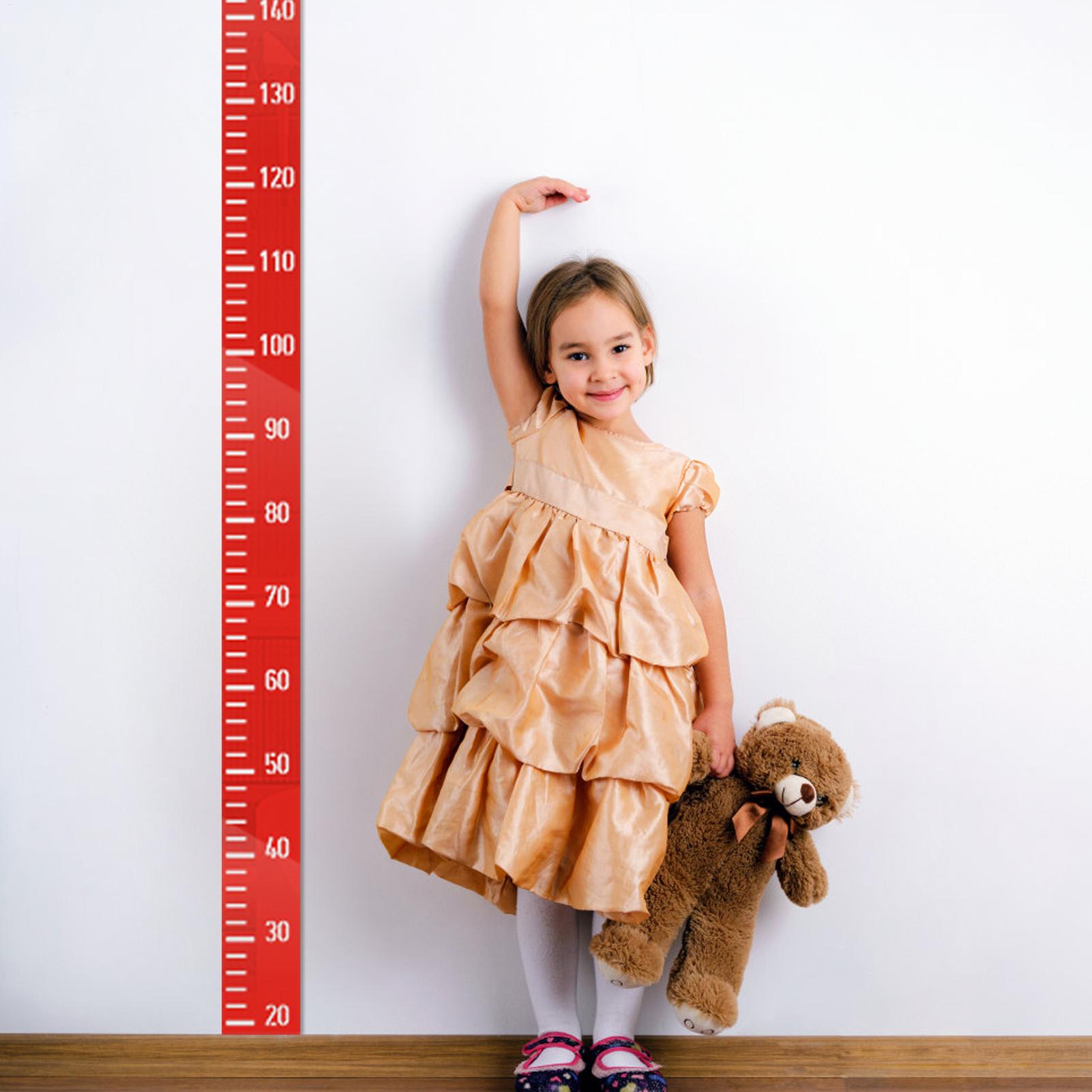 Growth Chart Wall Mirror Heigh - Growth Chart Ruler のレビューと価格